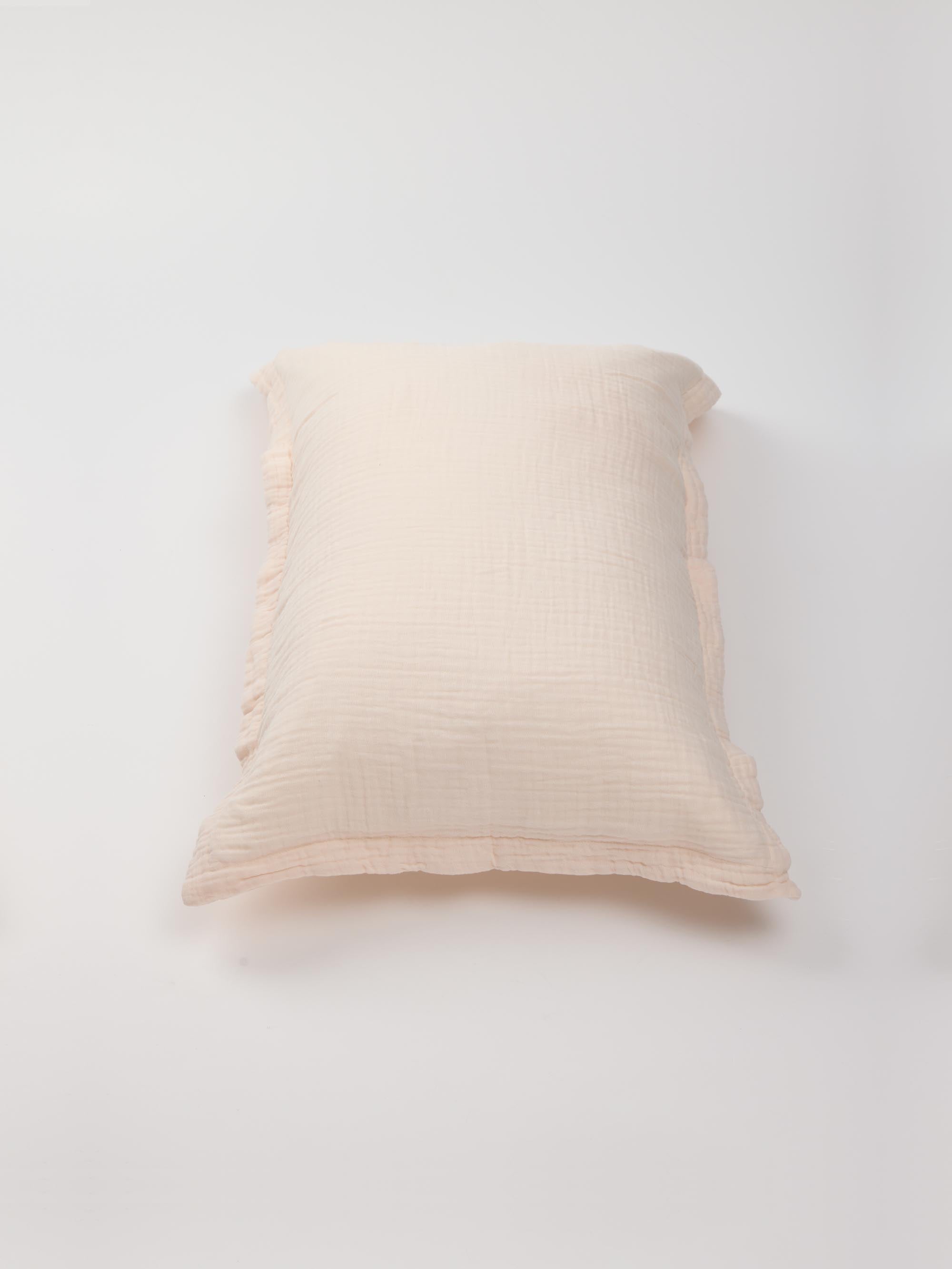 ציפה וציפיות Dream - פאודר