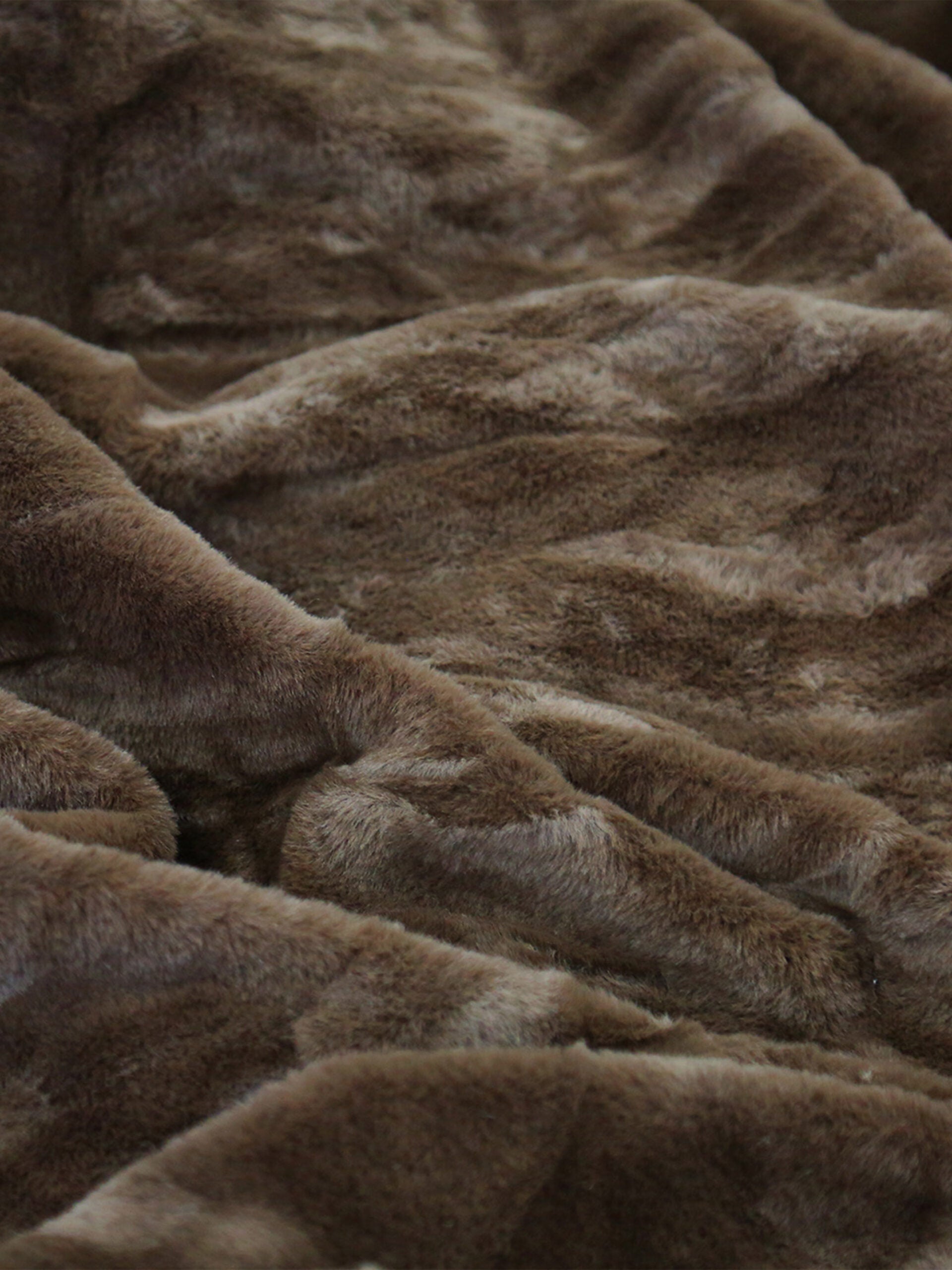 Softness | Winter Blanket
